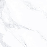 Carrara Nuova Porcelain Pavers 24" x 24"