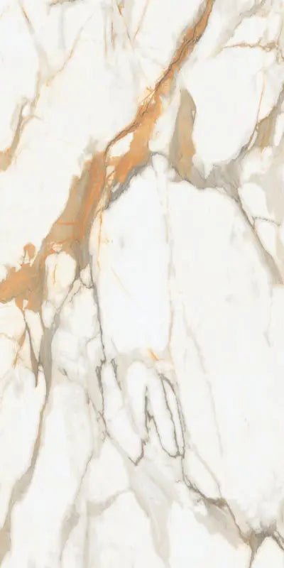 Arbescato Raphael 32" x 64" Field Tile Raphael Porcelain - Zicana Boutique - 6