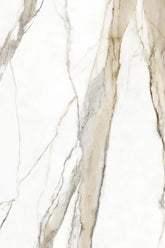 Armani Gold Raphael Quartz Raphael Quartz - Zicana Boutique - 1