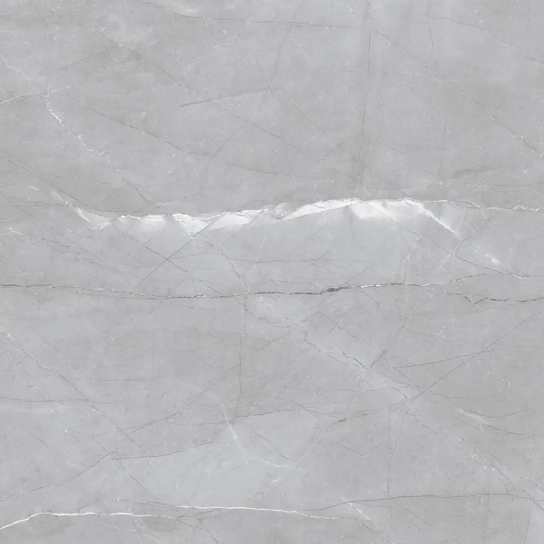 Armani Grey Raphael 48" x 96" Field Tile Raphael Porcelain - Zicana Boutique - 1