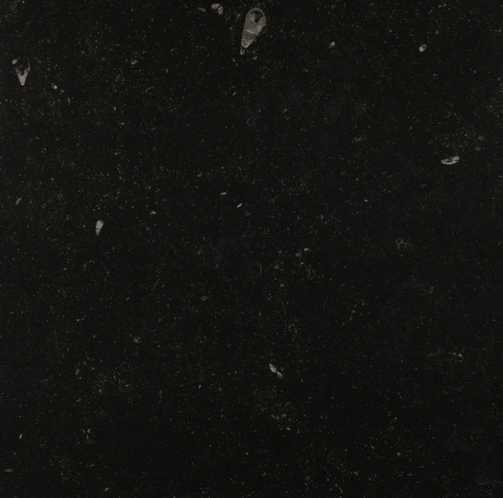 Belgian Bluestone Limestone Tile 24" x 24" Artistic Tile - Zicana Boutique - 4