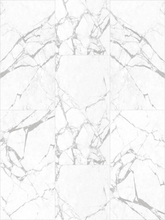 Bianco Carrara Raphael 32" x 64" Field Tile Raphael Porcelain - Zicana Boutique - 1