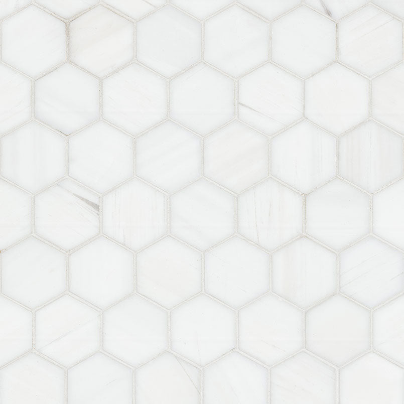 Bianco Dolomite Marble MSI Mosaic Tiles 12" X 13" Hexagon Pattern MSI - Zicana Boutique - 1
