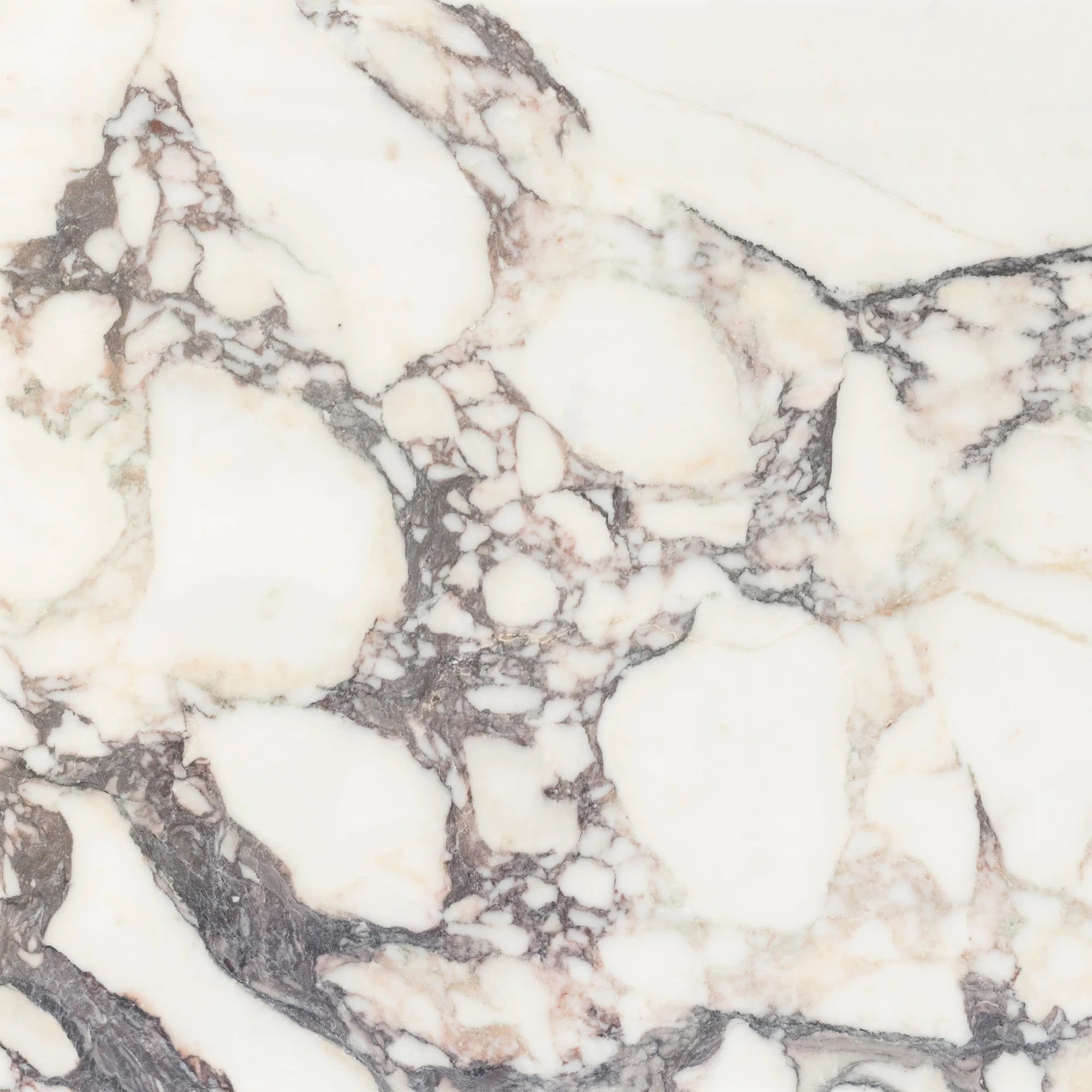 Breccia Capraia Marble Tile Artistic Tile - Zicana Boutique - 3
