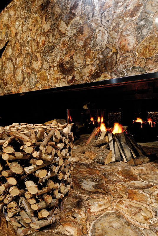 Brown Petrified Wood Precious Stone Antolini - Zicana Boutique - 4