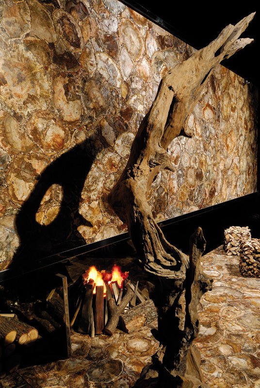 Brown Petrified Wood Precious Stone Antolini - Zicana Boutique - 3