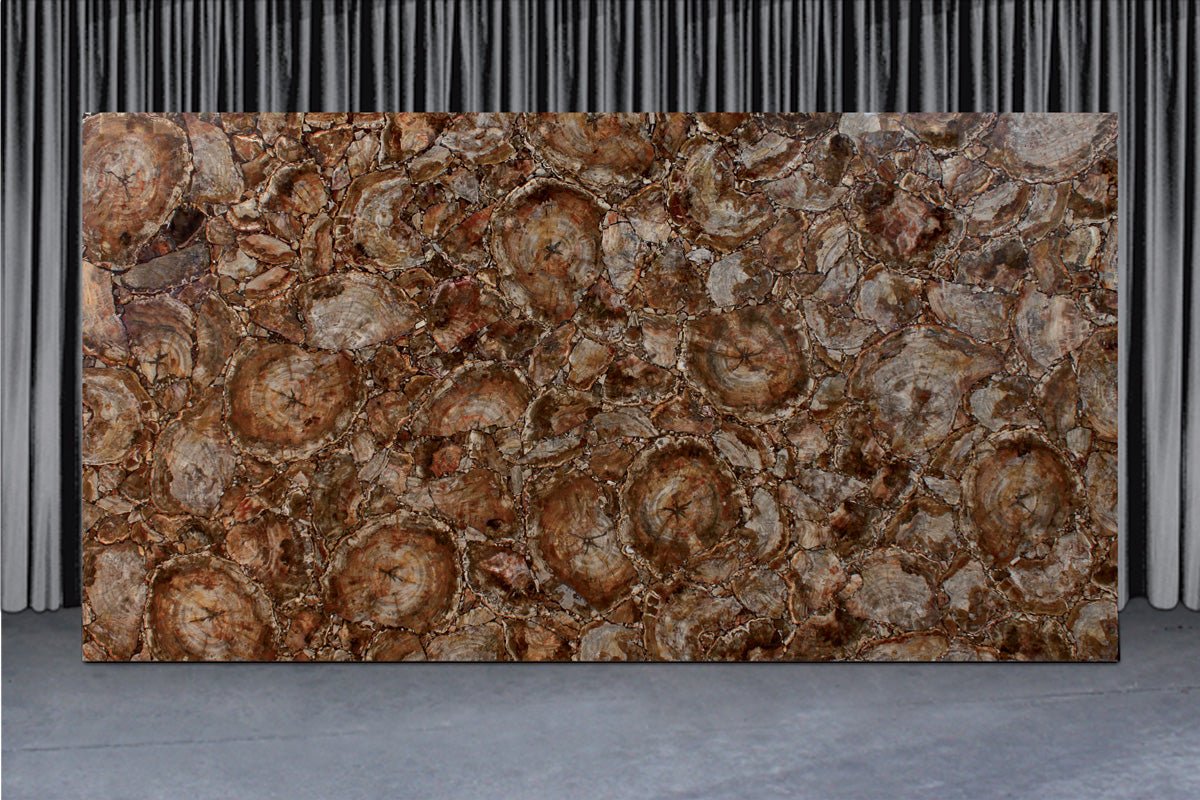 Brown Petrified Wood Precious Stone Antolini - Zicana Boutique - 6