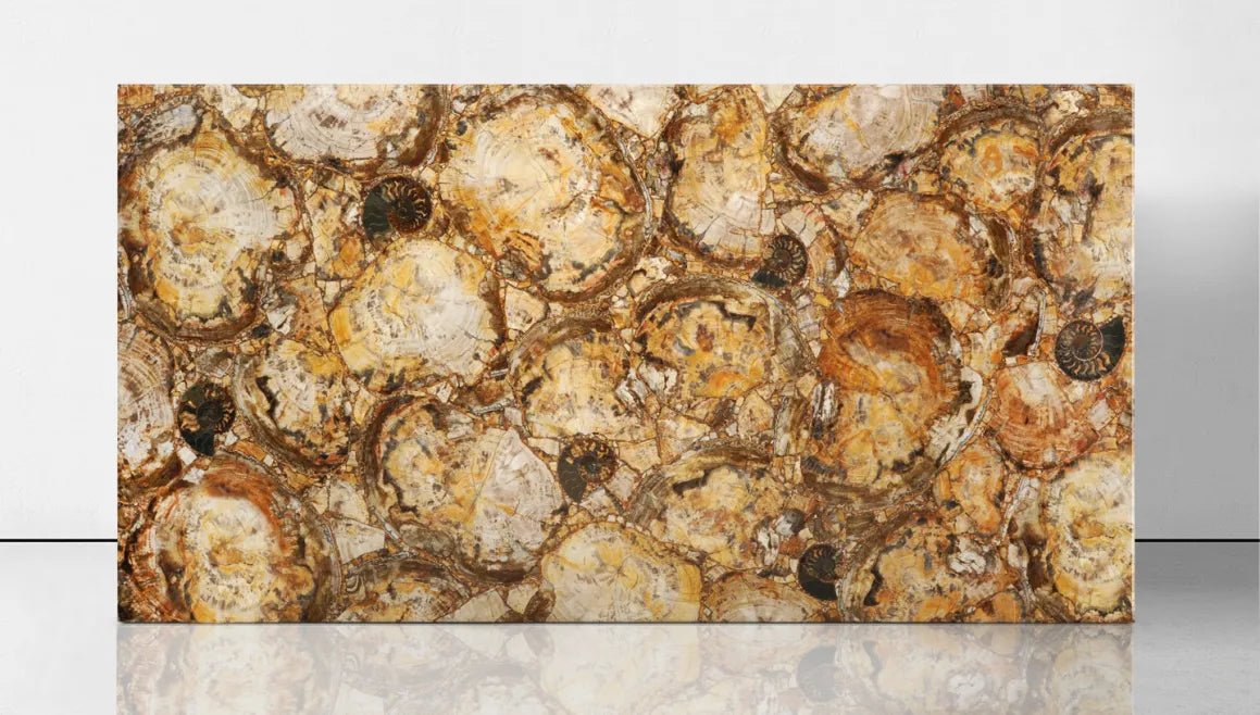 Brown Petrified Wood Precious Stone Zicana Boutique - Zicana Boutique - 12