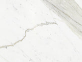 Calacatta Gold A1 Marble Antolini - Zicana Boutique - 1