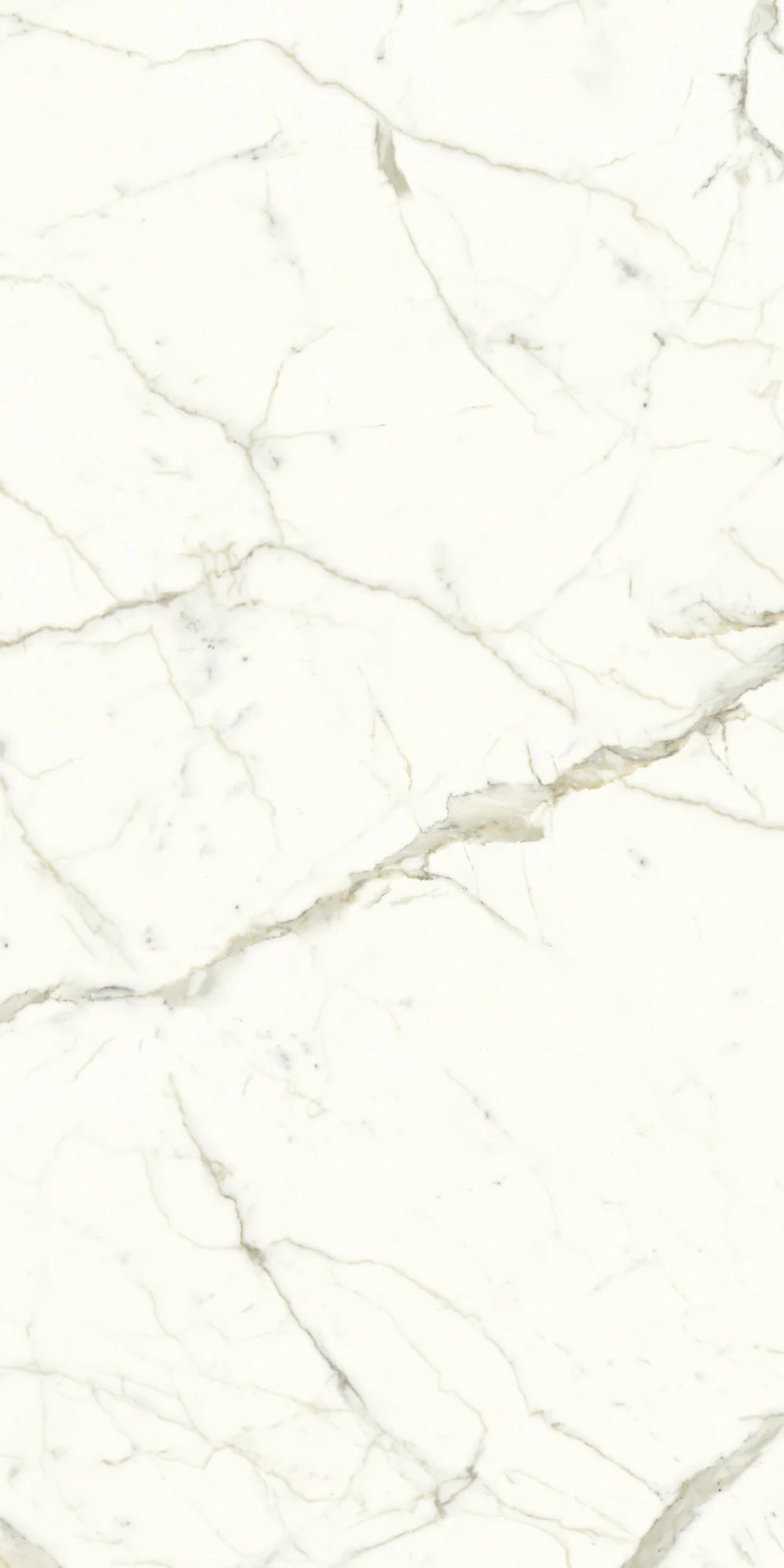 Calacatta Porcelain Field Tile 24" x 48" Artistic Tile - Zicana Boutique - 4