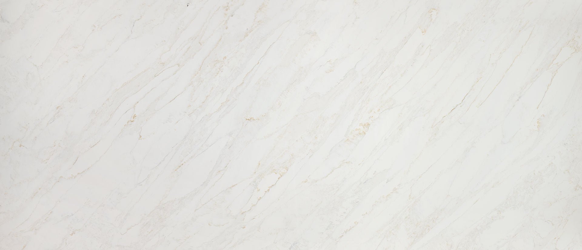 Buy Calacatta Premata Msi Q for $1,825 at Zicana Boutique