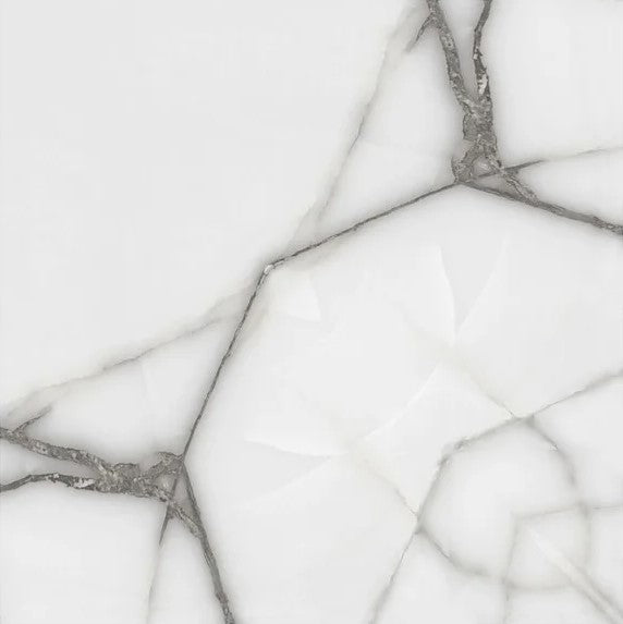 Calacatta Spider Raphael 48" x 48" Field Tile Raphael Porcelain - Zicana Boutique - 1