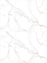 Calacatta Venice Raphael 48" x 96" Field Tile Raphael Porcelain - Zicana Boutique - 1