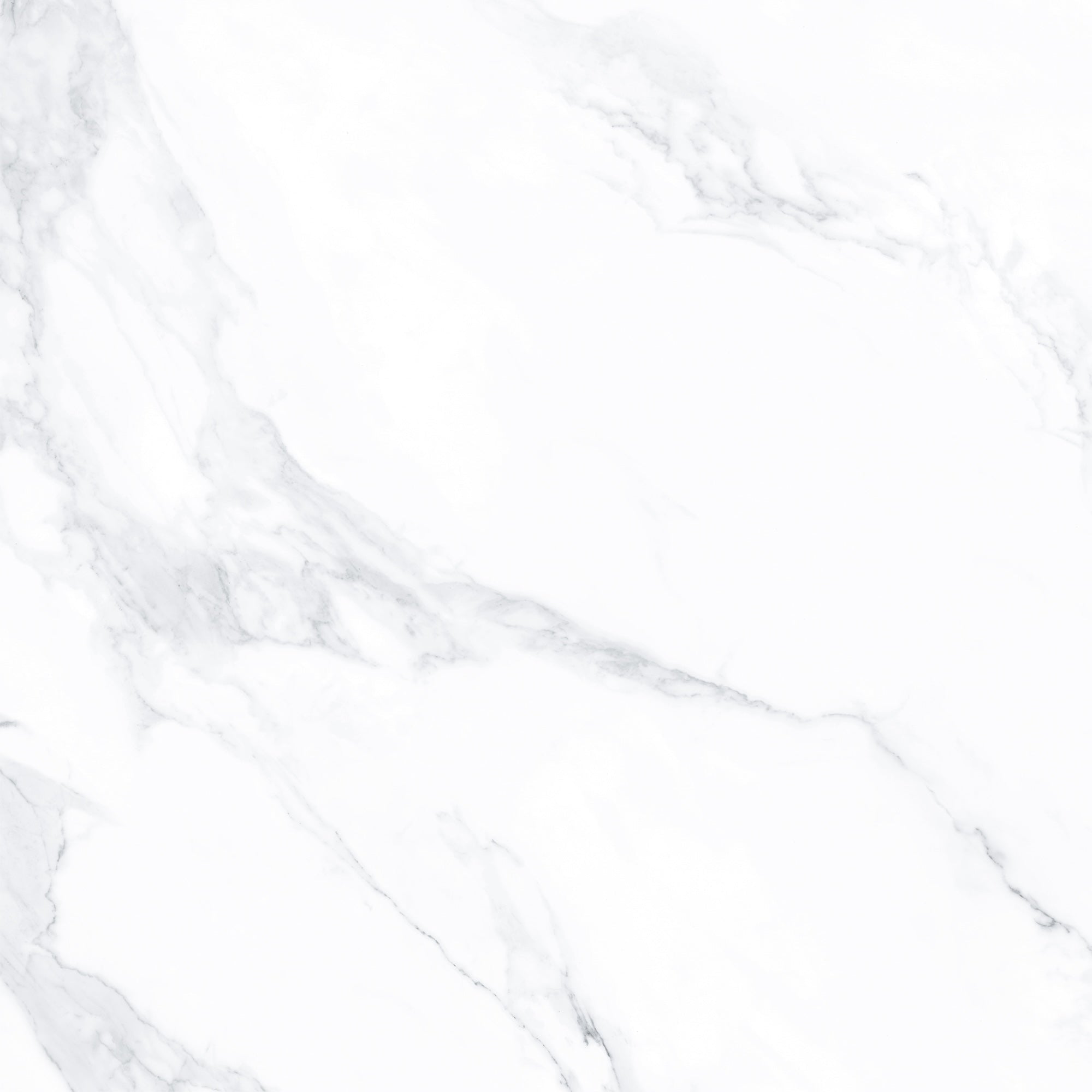 Carrara Nuova Porcelain Pavers 24" x 24" Italvivo - Zicana Boutique - 1