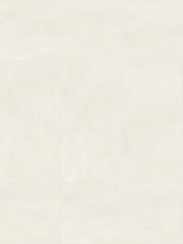 Cementoe Ivory Raphael 32" x 64" Field Tile Raphael Porcelain - Zicana Boutique - 1