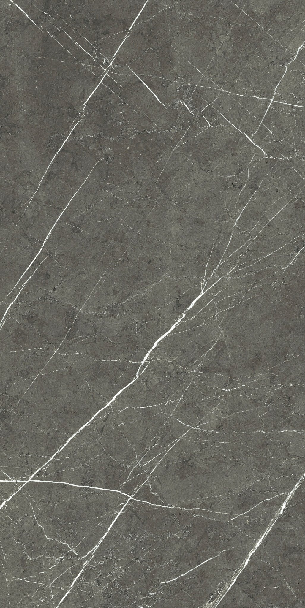 Charming Amber Porcelain Florim Field Tiles 24" X 48" Florim - Zicana Boutique - 1