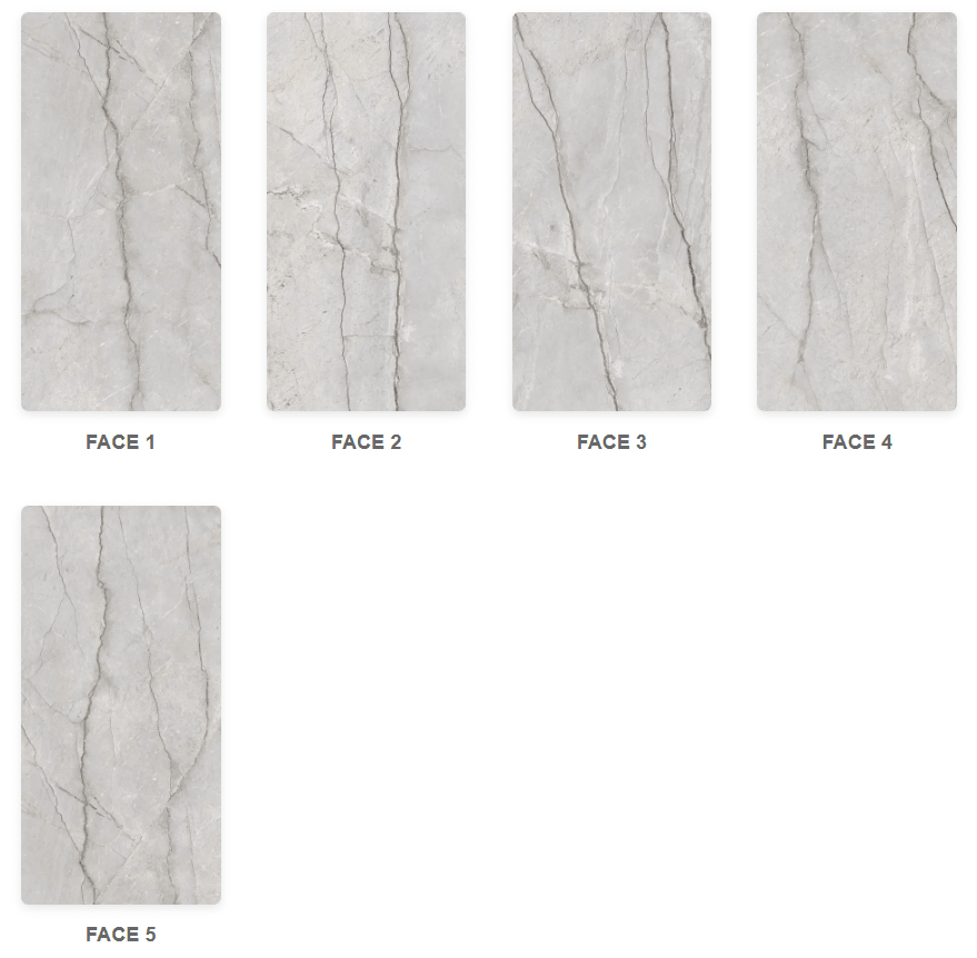 Cristallo Grey Raphael 32" x 64" Field Tile Raphael Porcelain - Zicana Boutique - 6