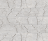 Cristallo Grey Raphael 32" x 64" Field Tile Raphael Porcelain - Zicana Boutique - 1