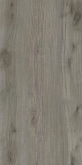 Forest Dark Grey Raphael 16" x 32" Pavers Raphael Porcelain - Zicana Boutique - 1