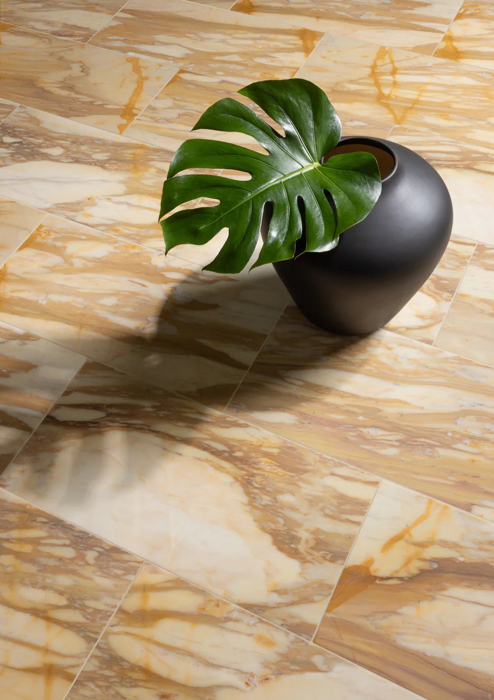 Giallo Siena Marble Field Tile 12" x 24" Zicana Boutique - Zicana Boutique - 4