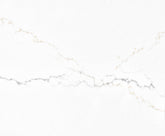 Inspiration Spectrum Spectrum - Zicana Boutique - 1