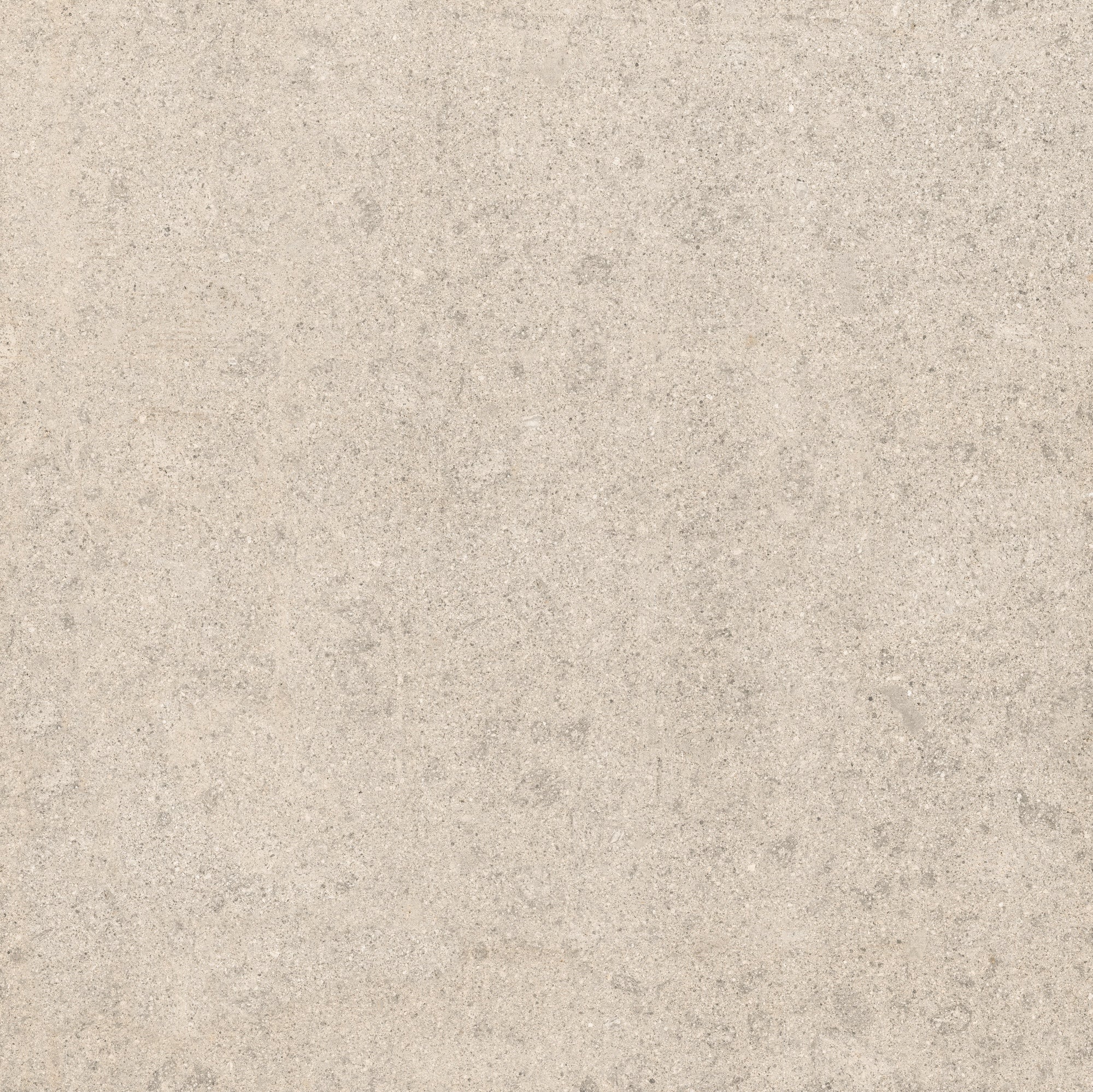 Nero Mist Porcelain Pavers 24" x 24" Italvivo - Zicana Boutique - 1