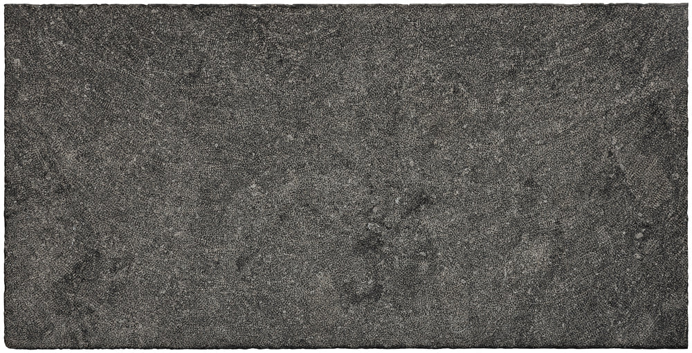 Nuovo Antico Belgian Bluestone Tile Artistic Tile - Zicana Boutique - 4