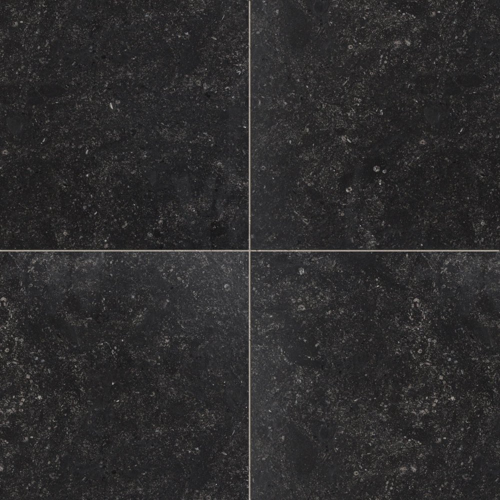 Odessa Black Belgian Bluestone Limestone Tile Artistic Tile - Zicana Boutique - 1