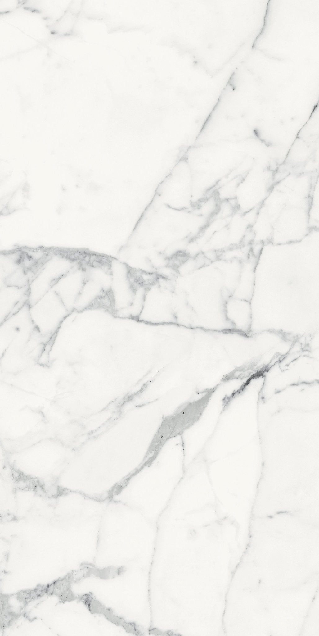 Origines Blanc Porcelain Florim Field Tiles 24" X 48" Florim - Zicana Boutique - 1