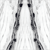 Panda Raphael 32" x 64" Field Tile Raphael Porcelain - Zicana Boutique - 1