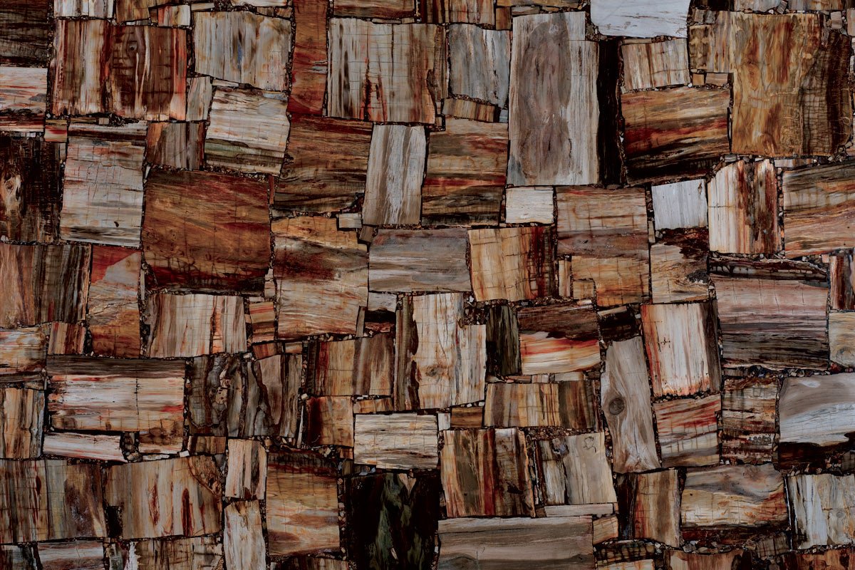 Retro Petrified Wood Precious Stone Antolini - Zicana Boutique - 1