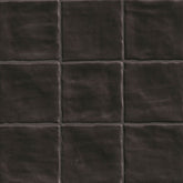 Zest Midnight Ceramic MSI Field Tiles 4" X 4" MSI - Zicana Boutique - 1