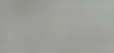 Concrete Light Variant Quartz