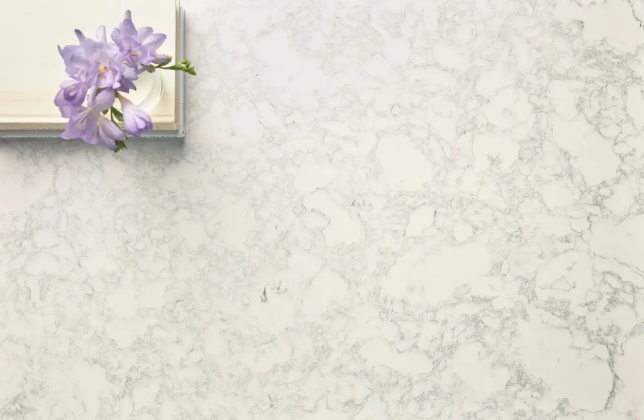 Ainsley Cambria Cambria - Zicana Boutique - 5