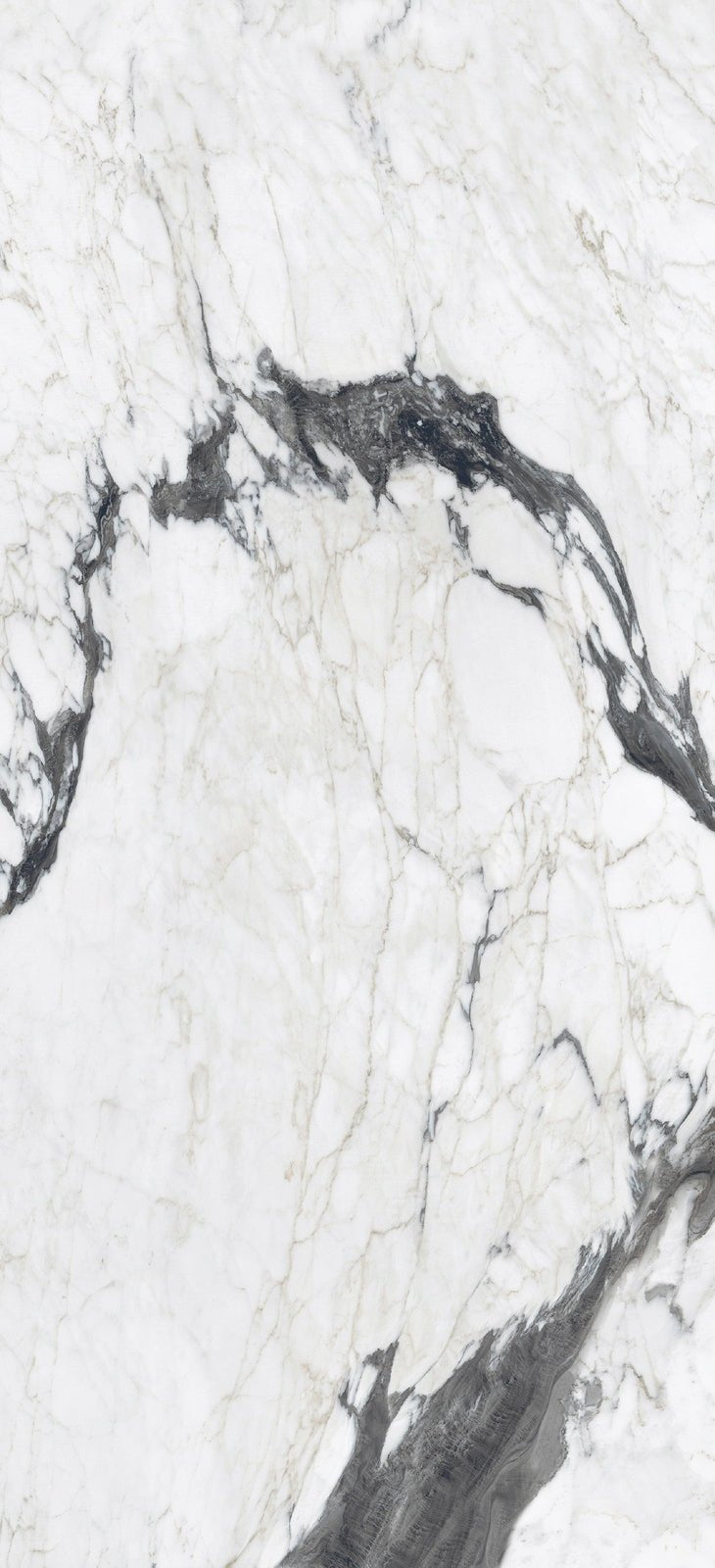 Altissima Florim Florim - Zicana Boutique - 5