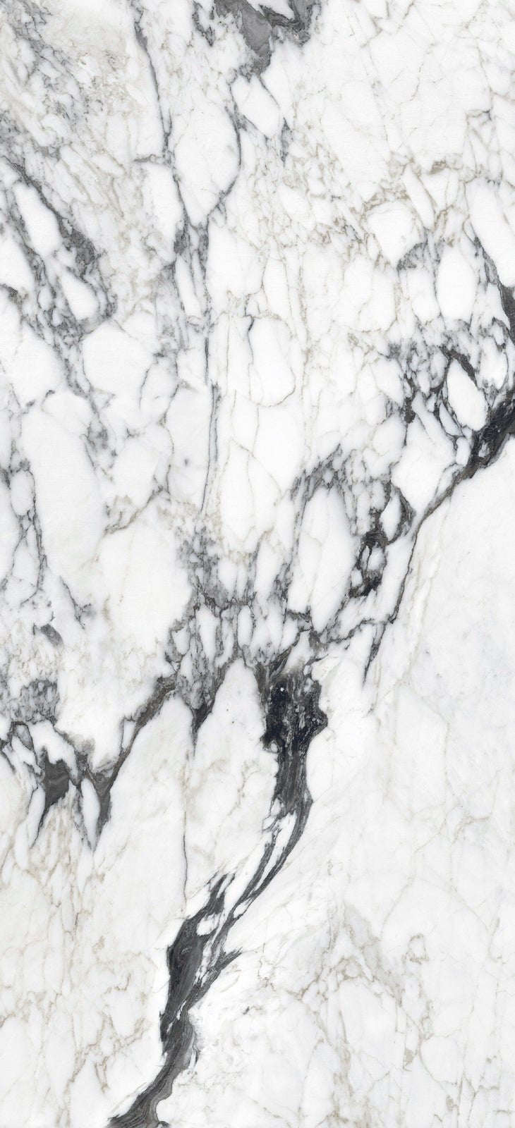 Altissima Florim Florim - Zicana Boutique - 10