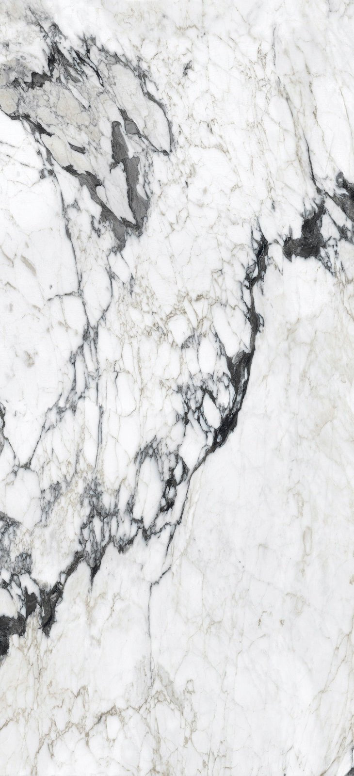 Altissima Florim Florim - Zicana Boutique - 7