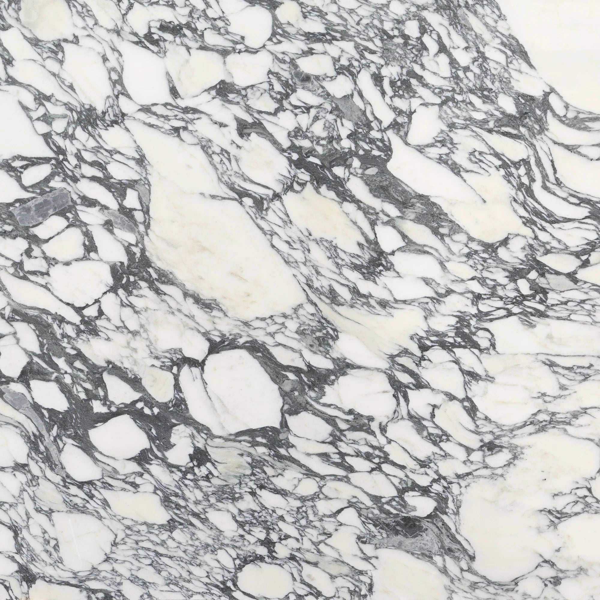 Arabescato Corchia Extra Marble - Zicana Boutique - 1