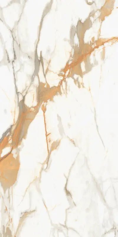 Arbescato Raphael 32" x 64" Field Tile Raphael Porcelain - Zicana Boutique - 5