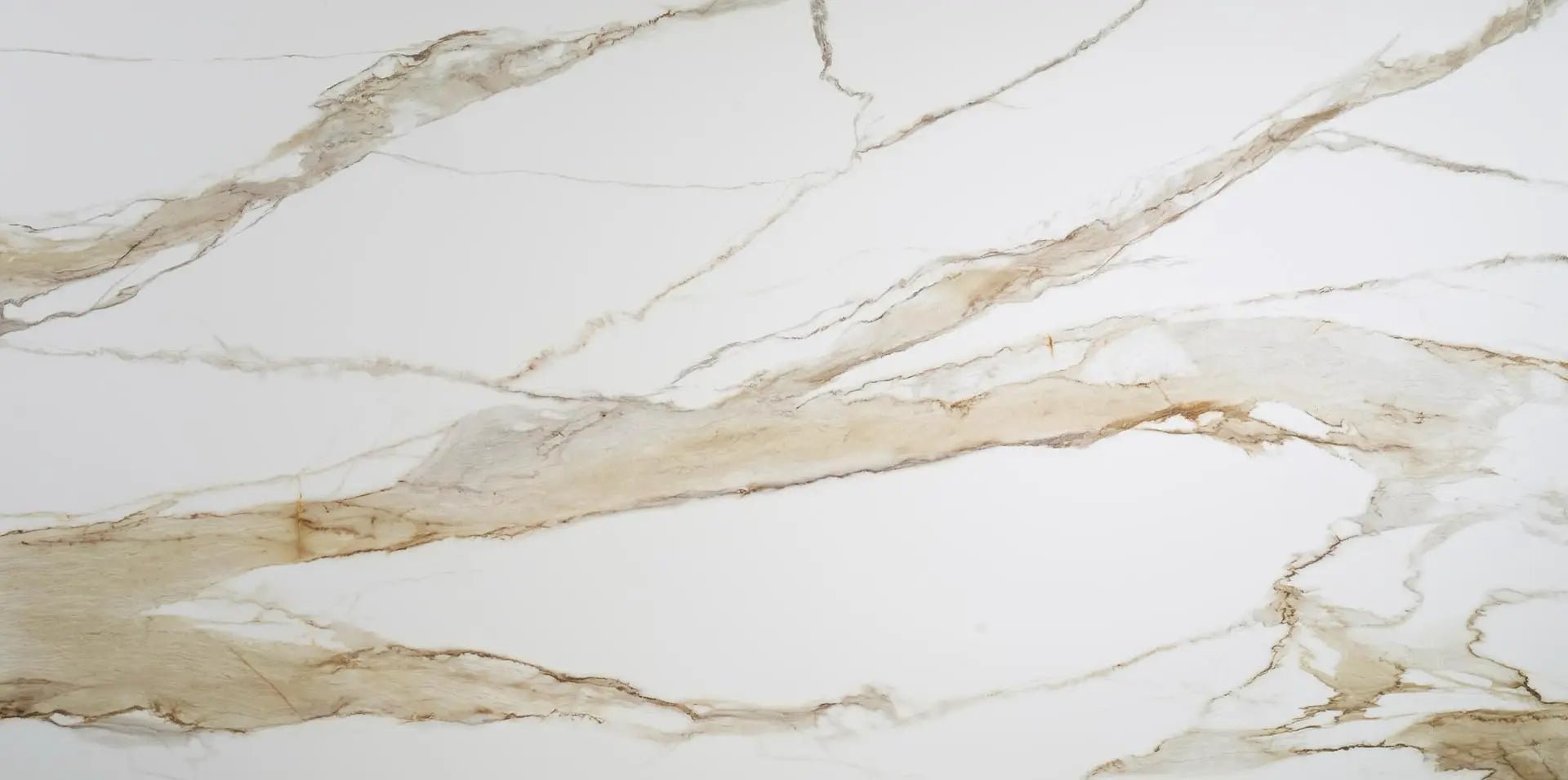 Armani Gold Raphael Quartz Raphael Quartz - Zicana Boutique - 1