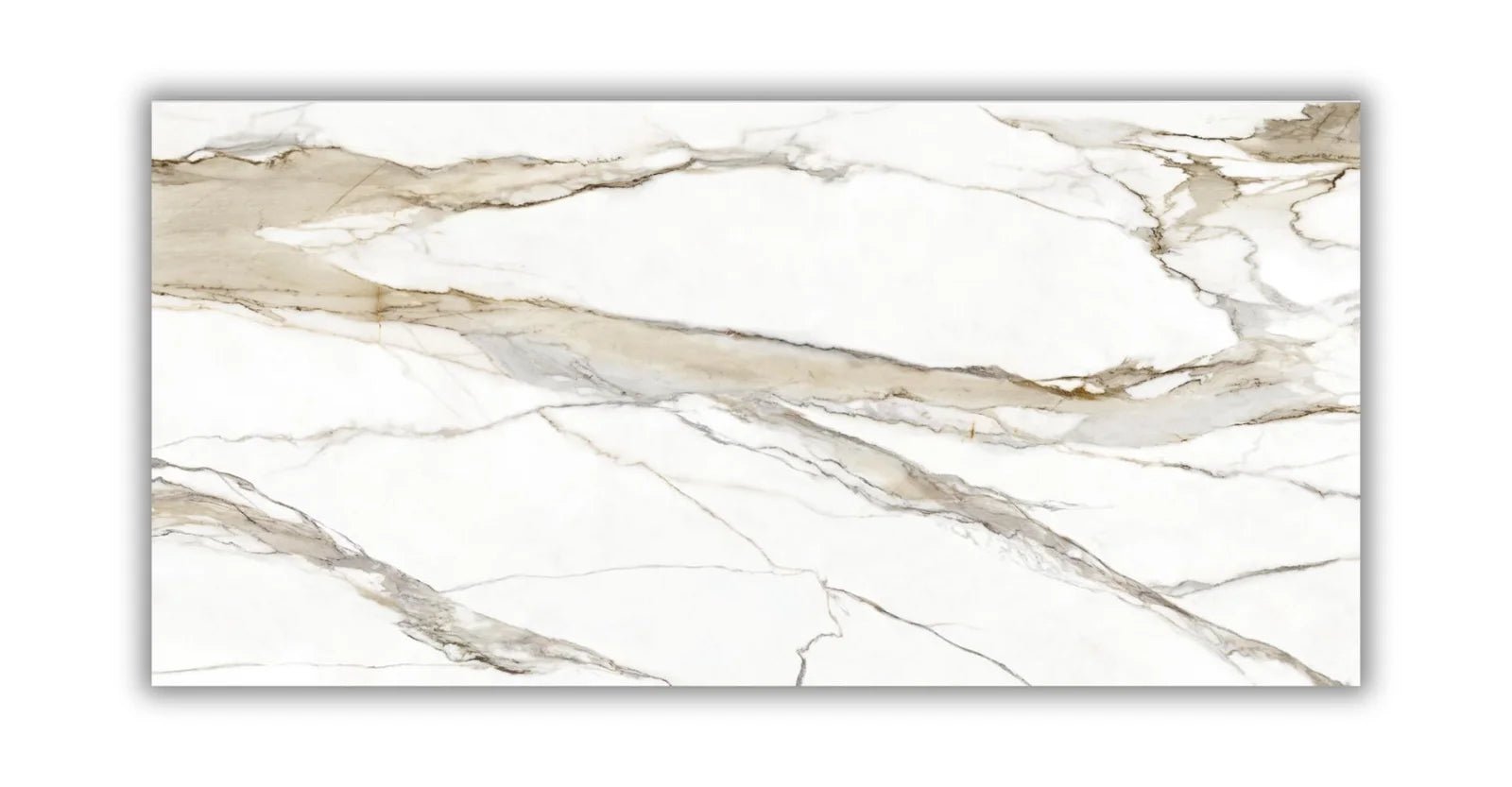 Armani Gold Raphael Quartz Raphael Quartz - Zicana Boutique - 3