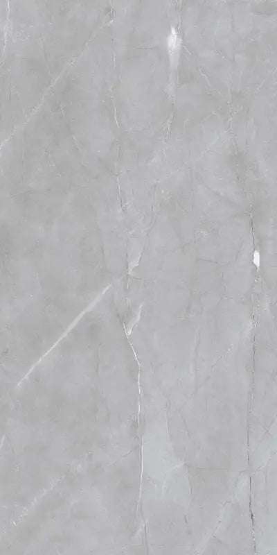 Armani Grey Raphael 48" x 96" Field Tile Raphael Porcelain - Zicana Boutique - 9