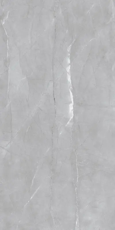 Armani Grey Raphael 48" x 96" Field Tile Raphael Porcelain - Zicana Boutique - 10