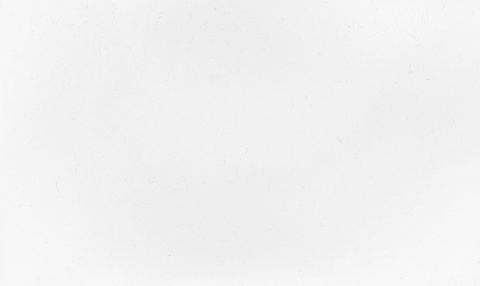 Bianco Aspen Pental Quartz Architectural Surfaces - Zicana Boutique - 1