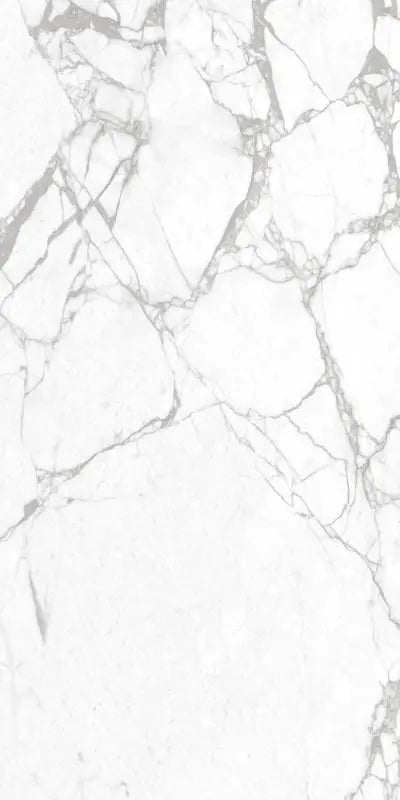 Bianco Carrara Raphael 32" x 64" Field Tile Raphael Porcelain - Zicana Boutique - 1