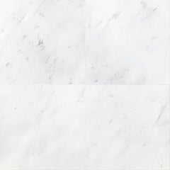 Bianco Cevic Polished Marble File Tile 12''x24''x3/8'' Zicana Boutique - Zicana Boutique - 1