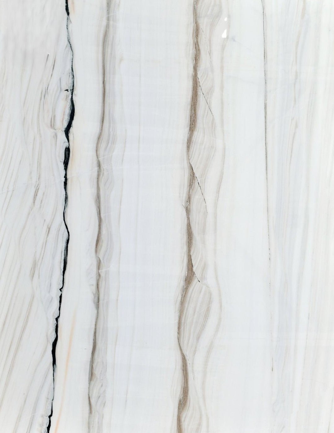 Bianco Lasa Gold Marble Marble Couture - Zicana Boutique - 1
