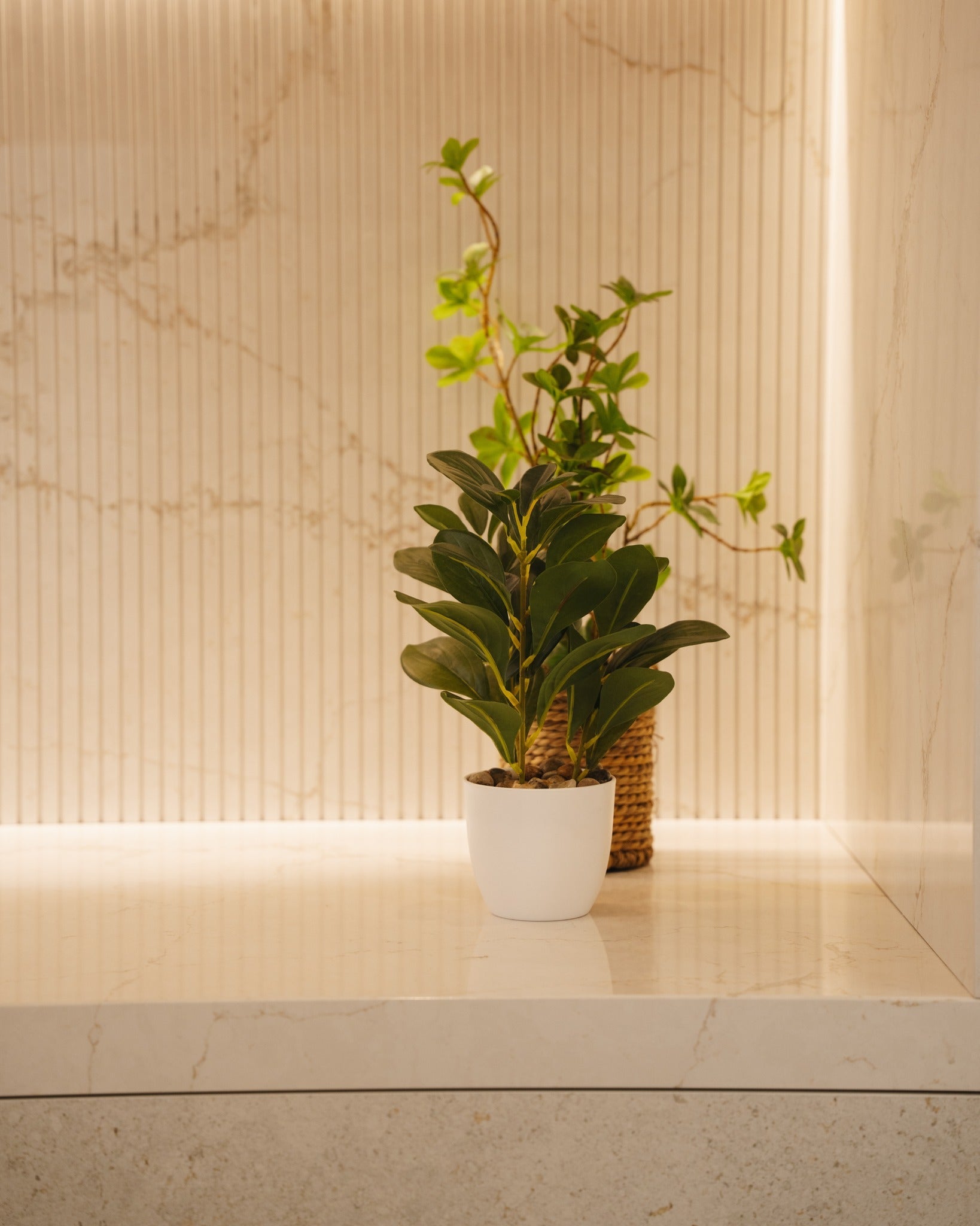 Blanc Elysee Gv3 Silestone Silestone - Zicana Boutique - 4