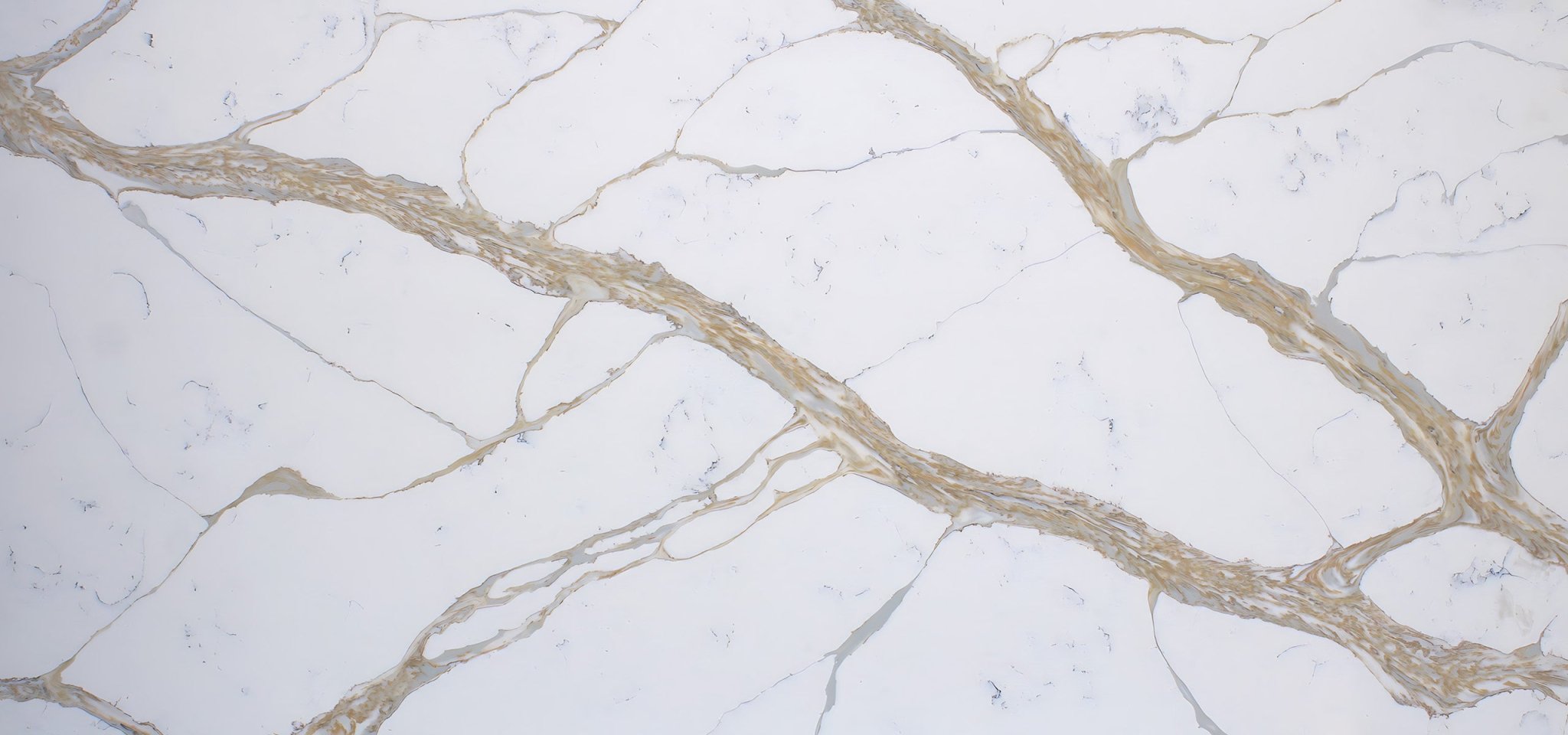 Borghini Gold Variant Quartz Variant- Zicana Boutique -1