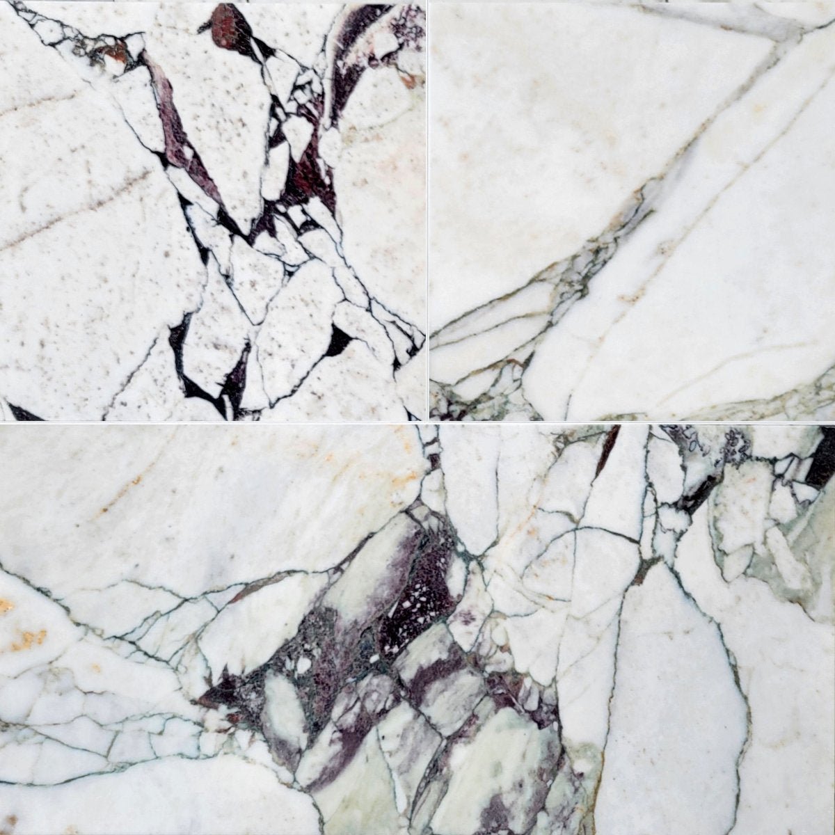 Breccia Capraia Polished Marble Field Tile 12''x24''x3/8'' Zicana Boutique - Zicana Boutique - 1